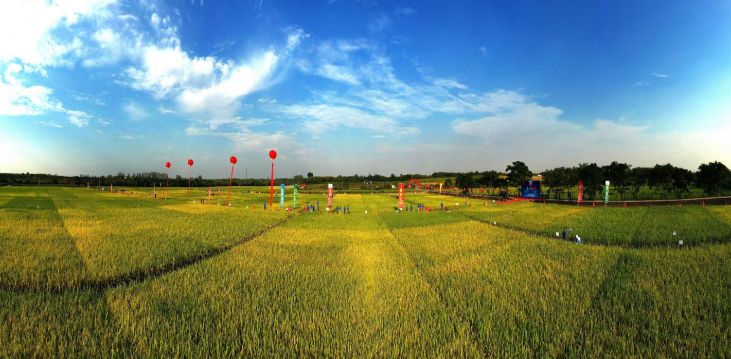 圖片1(1).jpg 圖片1(1).jpg