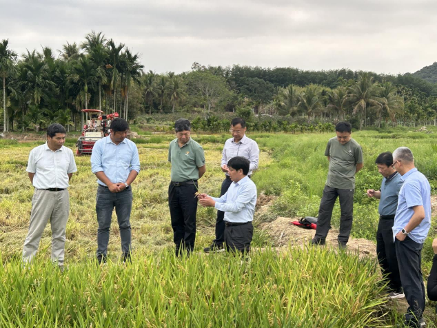 圖片2.png 圖片2.png