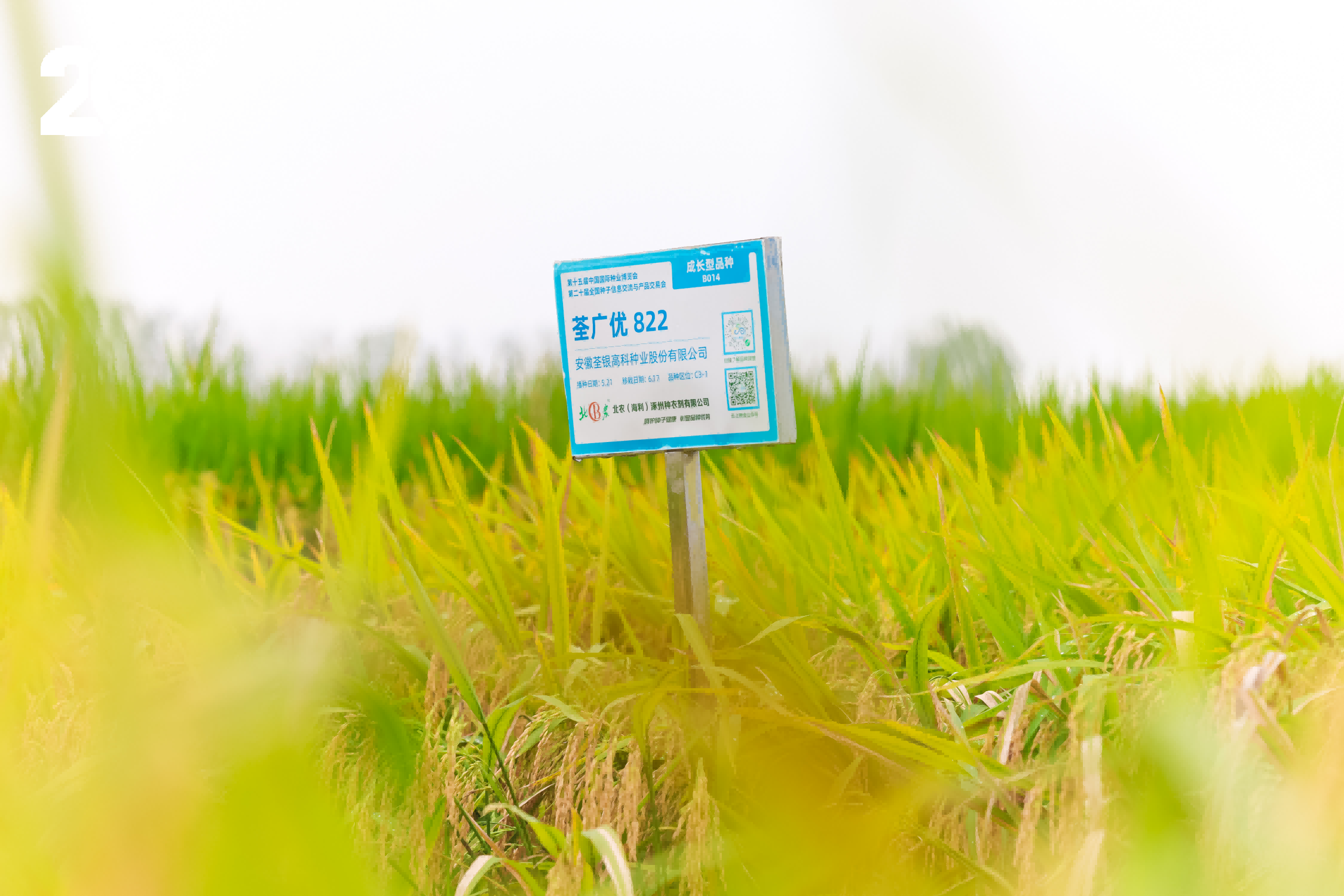 圖片15.png 圖片15.png